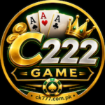 C222 Game
