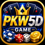 PKW5D Game